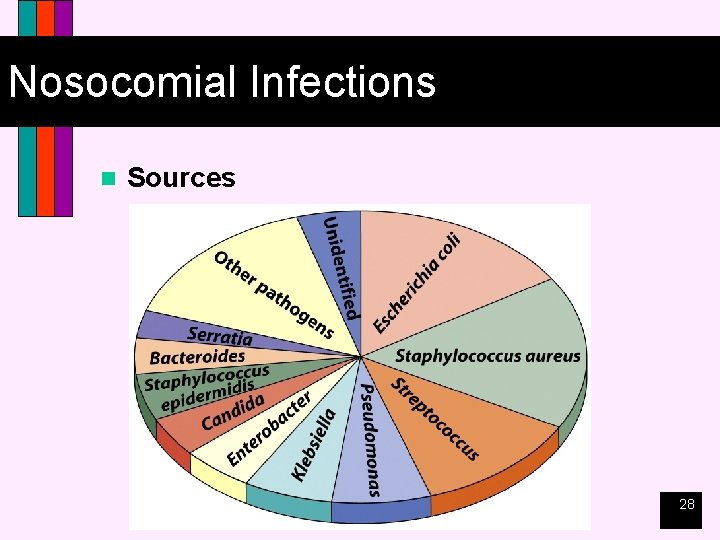 Nosocomial Infections n Sources 28 