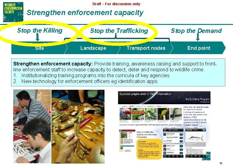 Draft – For discussion only Strengthen enforcement capacity Stop the Killing Site Stop the