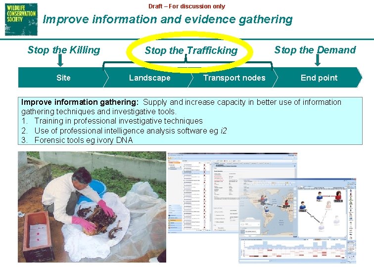 Draft – For discussion only Improve information and evidence gathering Stop the Killing Site