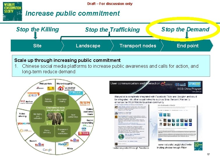 Draft – For discussion only Increase public commitment Stop the Killing Site Stop the