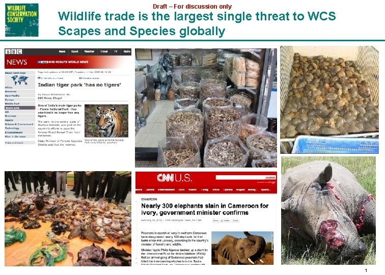 Draft – For discussion only Wildlife trade is the largest single threat to WCS