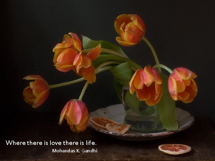 Where there is love there is life. Mohandas K. Gandhi 