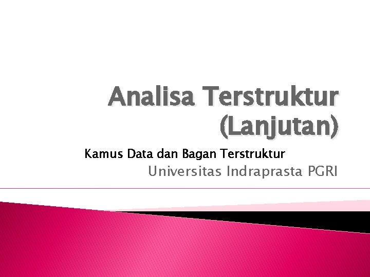 Analisa Terstruktur (Lanjutan) Kamus Data dan Bagan Terstruktur Universitas Indraprasta PGRI 