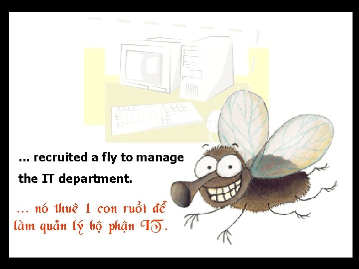 . . . recruited a fly to manage the IT department. . noù thueâ