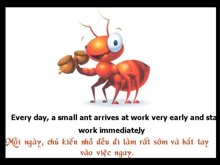 Every day, a small ant arrives at work very early and star work immediately.