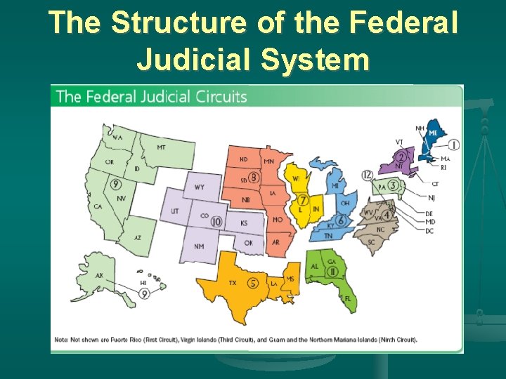 The Structure of the Federal Judicial System 