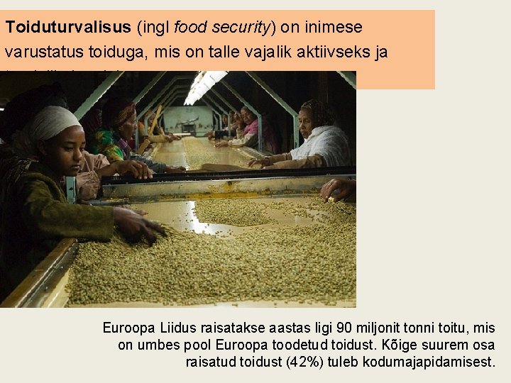 Toiduturvalisus (ingl food security) on inimese varustatus toiduga, mis on talle vajalik aktiivseks ja