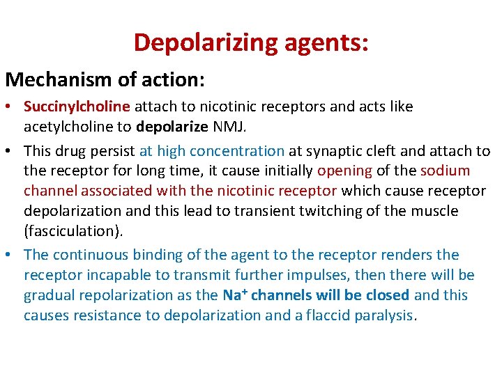 Depolarizing agents: Mechanism of action: • Succinylcholine attach to nicotinic receptors and acts like