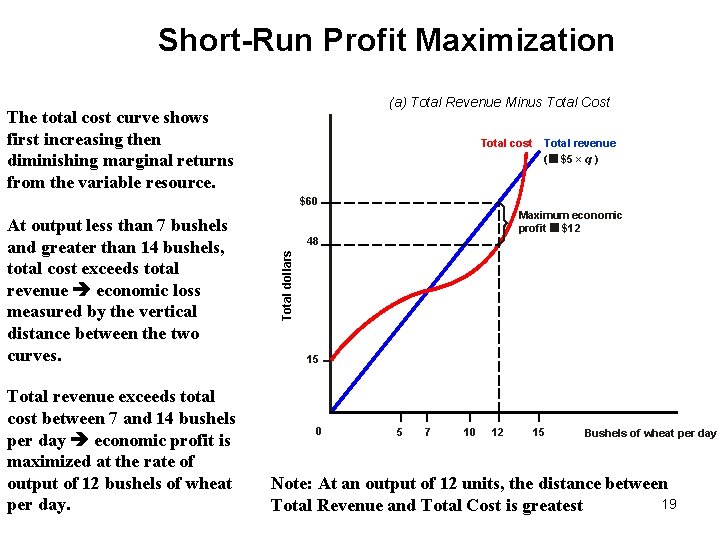 Market Structure and Pricing Perfect Competition 1 Firm