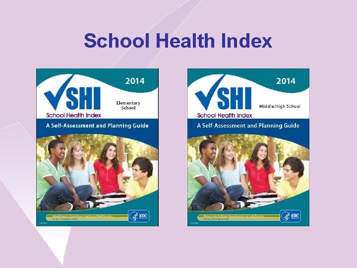 School Health Index 