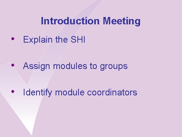 Introduction Meeting • Explain the SHI • Assign modules to groups • Identify module