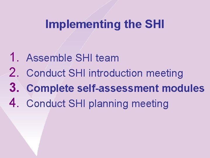 Implementing the SHI 1. 2. 3. 4. Assemble SHI team Conduct SHI introduction meeting