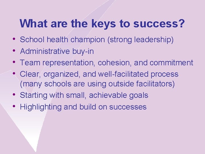 What are the keys to success? • • • School health champion (strong leadership)