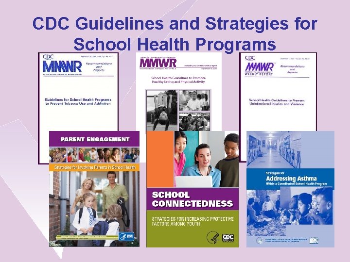 CDC Guidelines and Strategies for School Health Programs 