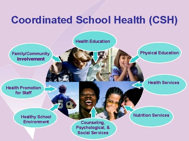 Coordinated School Health (CSH) Health Education Physical Education Family/Community Involvement Health Services Health Promotion