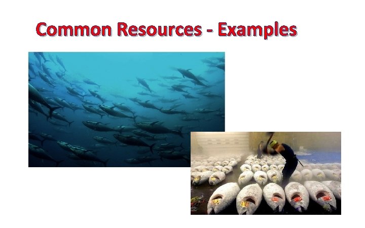 Common Resources - Examples 