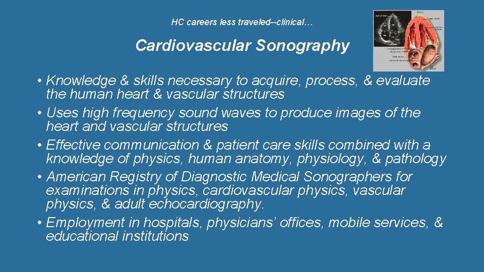 HC careers less traveled--clinical… Cardiovascular Sonography • Knowledge & skills necessary to acquire, process,