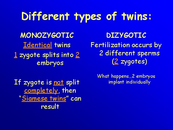 Different types of twins: MONOZYGOTIC Identical twins 1 zygote splits into 2 embryos If