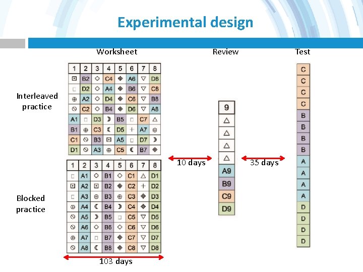 Experimental design Worksheet Review Test Interleaved practice 10 days Blocked practice 103 days 35