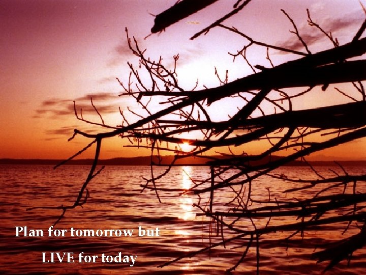 Plan for tomorrow but LIVE for today 