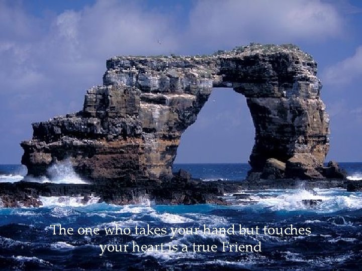 The one who takes your hand but touches your heart is a true Friend