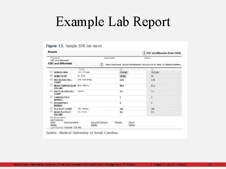 Example Lab Report Health Care Information Systems: A Practical Approach for Health Care Management