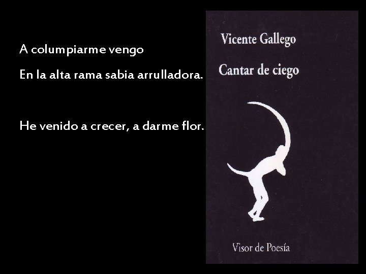 A columpiarme vengo En la alta rama sabia arrulladora. He venido a crecer, a