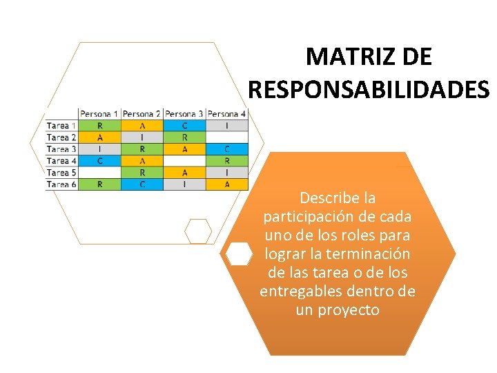 MATRIZ DE RESPONSABILIDADES Describe la participación de cada uno de los roles para lograr