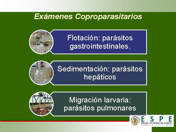 Exámenes Coproparasitarios Flotación: parásitos gastrointestinales. Sedimentación: parásitos hepáticos Migración larvaria: parásitos pulmonares 