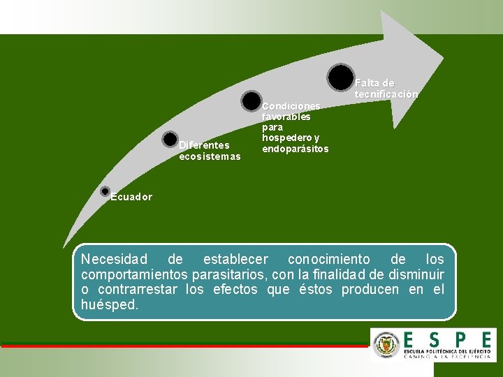 Falta de tecnificación Diferentes ecosistemas Condiciones favorables para hospedero y endoparásitos Ecuador Necesidad de