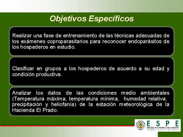 Objetivos Específicos Realizar una fase de entrenamiento de las técnicas adecuadas de los exámenes