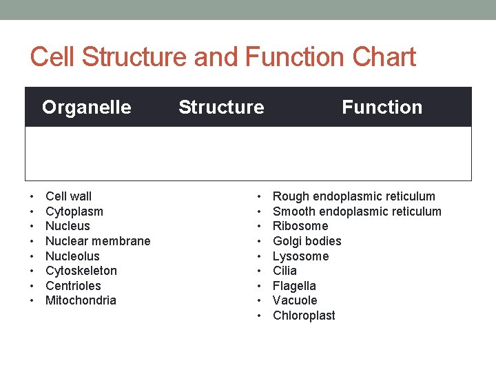 Cell Structure and Function Chart Organelle • • Cell wall Cytoplasm Nucleus Nuclear membrane Cell Structure and Function Chart Organelle • • Cell wall Cytoplasm Nucleus Nuclear membrane