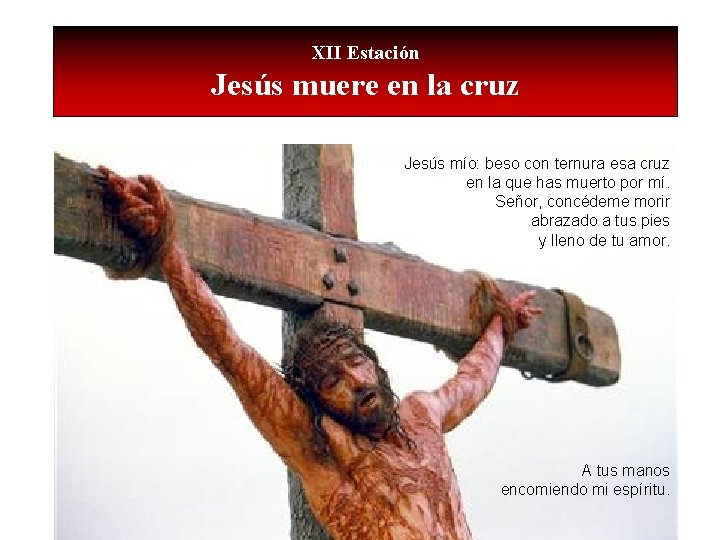 XII Estación Jesús muere en la cruz Jesús mío: beso con ternura esa cruz