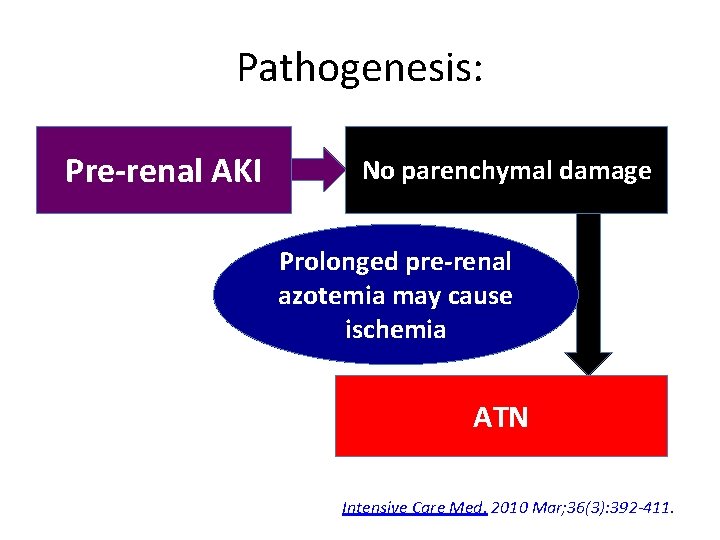 Pathogenesis: Pre-renal AKI No parenchymal damage Intra glomerular Prolonged pre-renal hemodynamics azotemia may cause