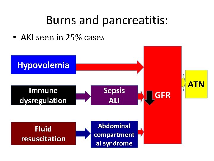 Burns and pancreatitis: • AKI seen in 25% cases Hypovolemia Immune dysregulation Sepsis ALI