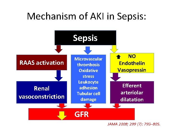 Mechanism of AKI in Sepsis: Sepsis RAAS activation Renal vasoconstriction Microvascular thrombosis Oxidative stress
