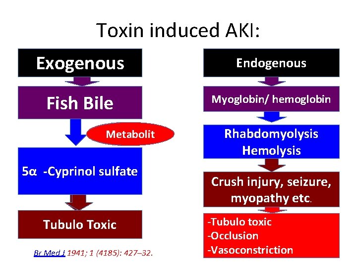 Toxin induced AKI: Exogenous Endogenous Ethylene glycol Fish Bile Myoglobin/ hemoglobin Metabolite s Metabolit