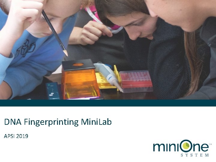 DNA Fingerprinting Mini. Lab APSI 2019 