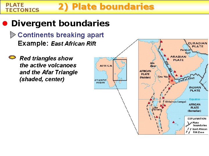 PLATE TECTONICS 2) Plate boundaries l Divergent boundaries Continents breaking apart Example: East African