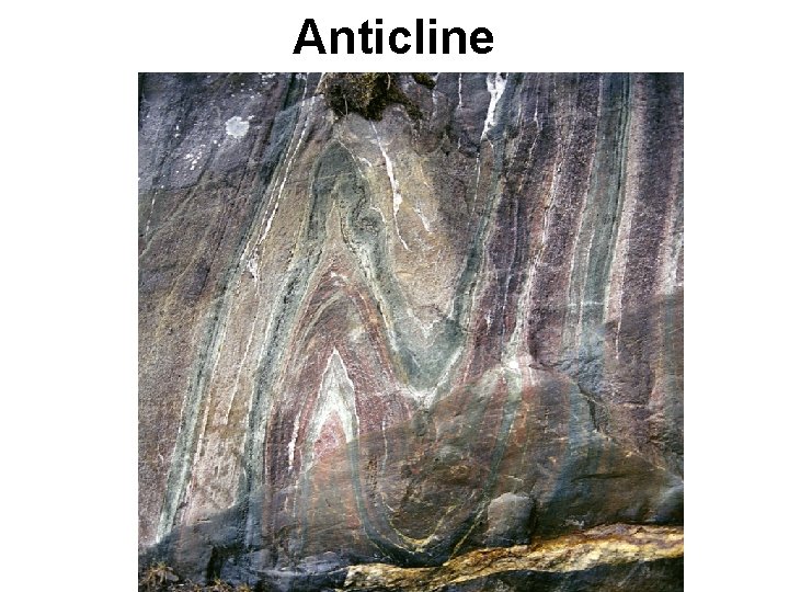 Anticline 