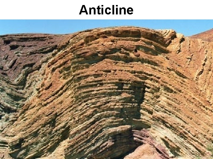 Anticline 