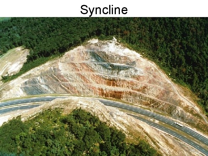 Syncline 