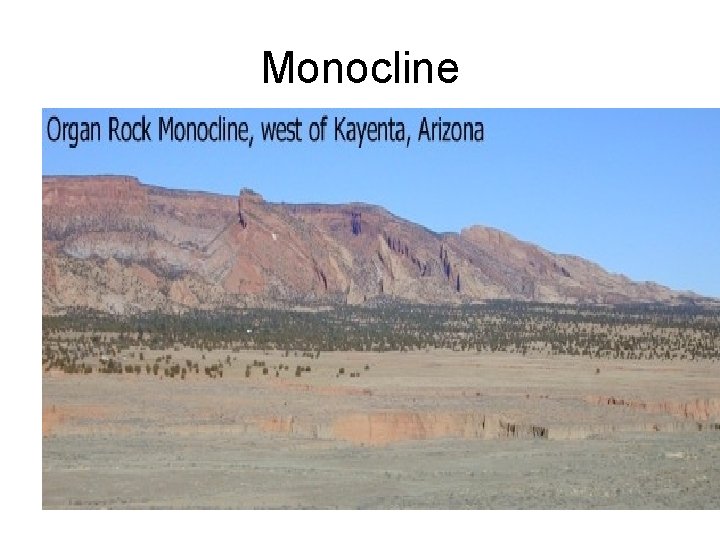 Monocline 