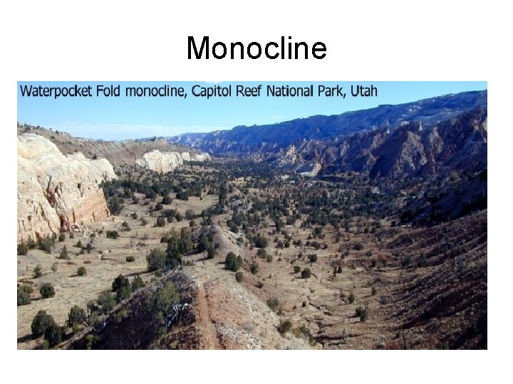 Monocline 