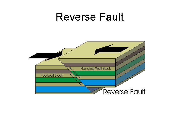 Reverse Fault 