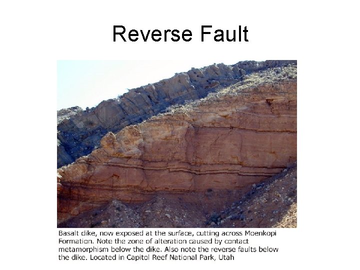 Reverse Fault 