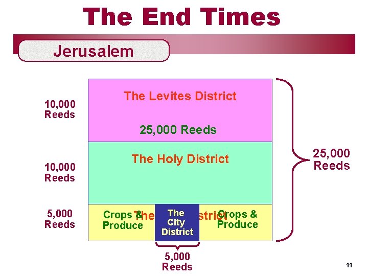 The End Times Jerusalem 10, 000 Reeds The Levites District 25, 000 Reeds 10,