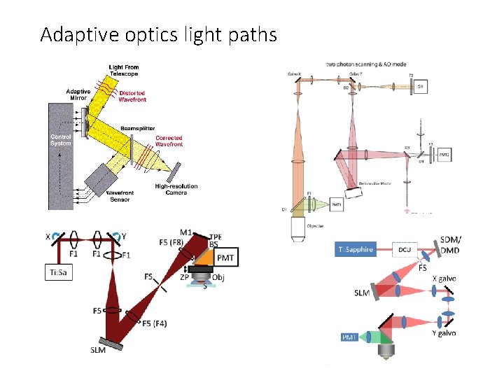 BiBE 177 Principles of Modern Microscopy Lecture 12