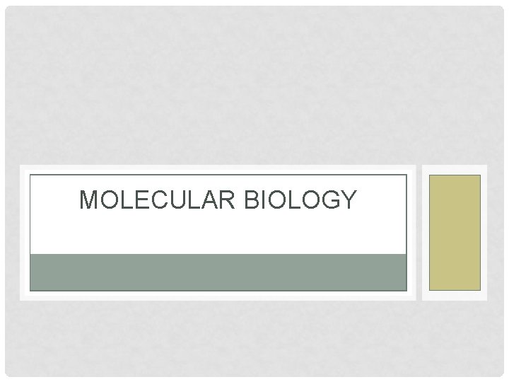 MOLECULAR BIOLOGY 