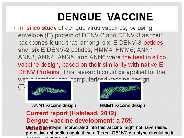 DENGUE VACCINE • In silico study of dengue virus vaccines, by using envelope (E)